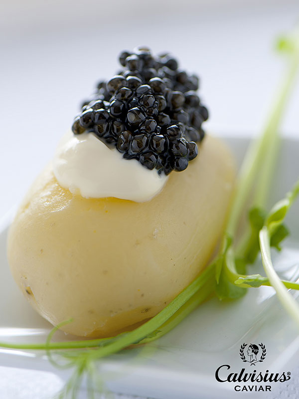 Färskpotatis med caviar och färskost